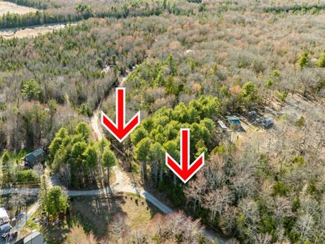 Land for sale in Surry, Maine