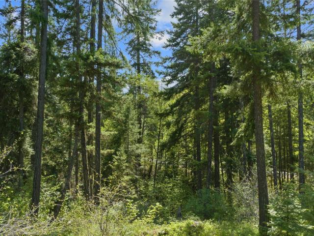 Land for sale in Ronald