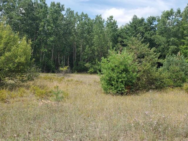 Land for sale in Clare, Michigan
