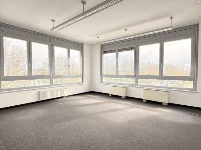 Gewerbe mieten in Schwechat, Niederösterreich