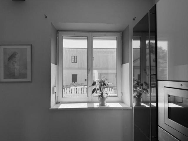 Wohnung kaufen in Schöffelstadt, Mödling