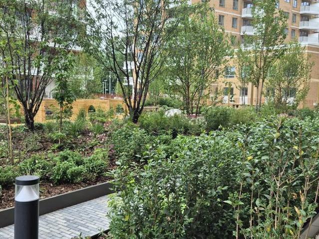 Apartment for rent in Glyndon, Plumstead