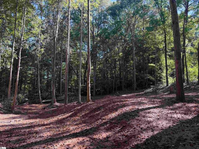Land for sale in Travelers Rest, Greenville County