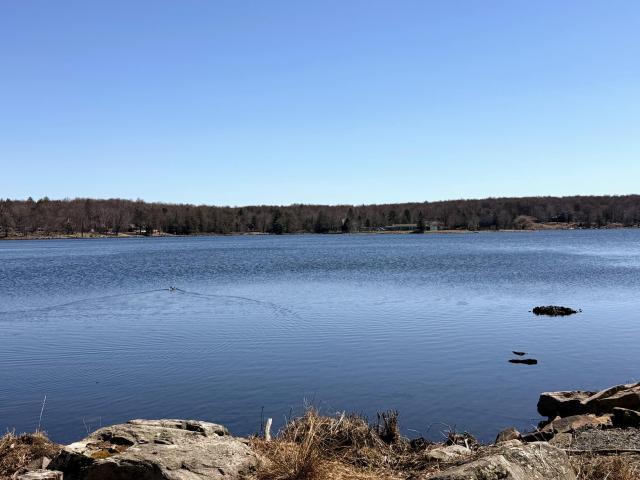 Land for sale in Newfoundland, Pennsylvania