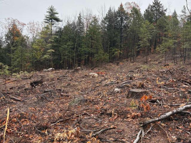 Land for sale in New Hampshire