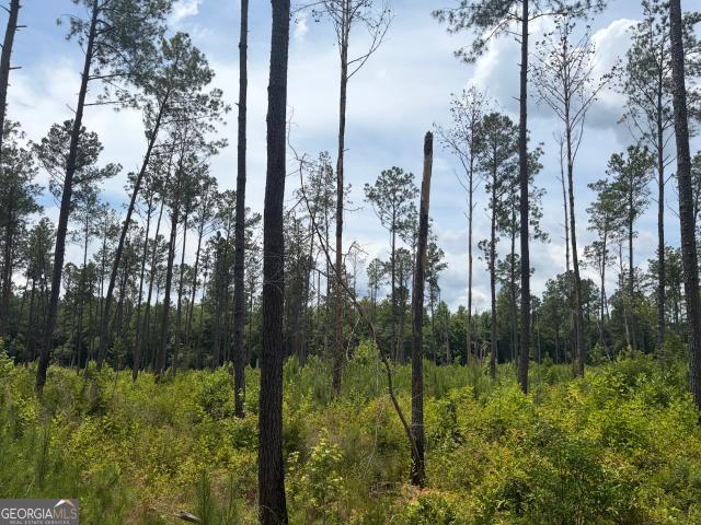 Land for sale in Davisboro, Georgia
