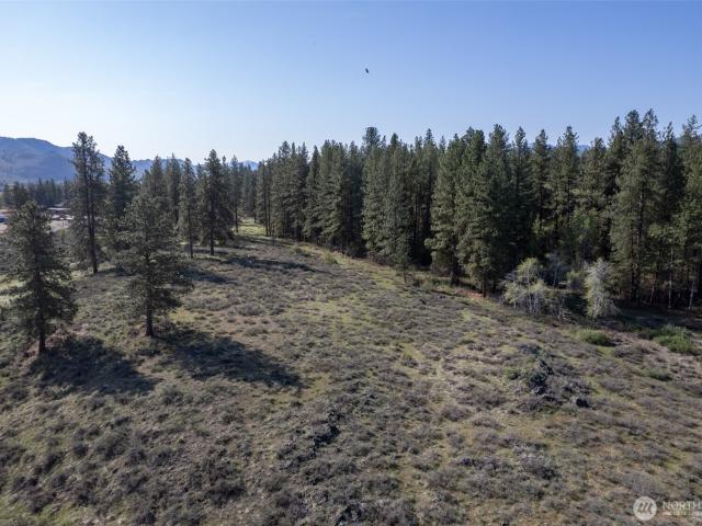 Land for sale in Winthrop, Washington