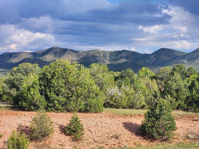 Land for sale in Sandia Park, New Mexico