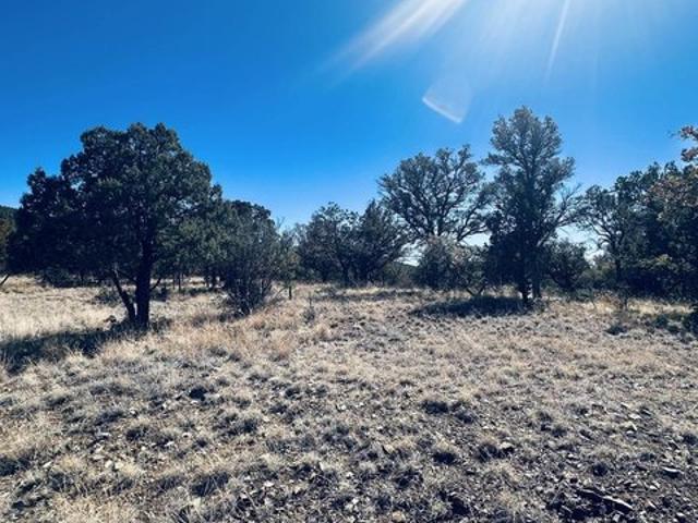 Land for sale in Silver City, New Mexico