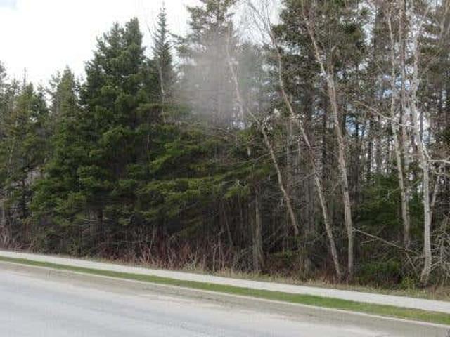 Property for sale in Pasadena, Newfoundland And Labrador