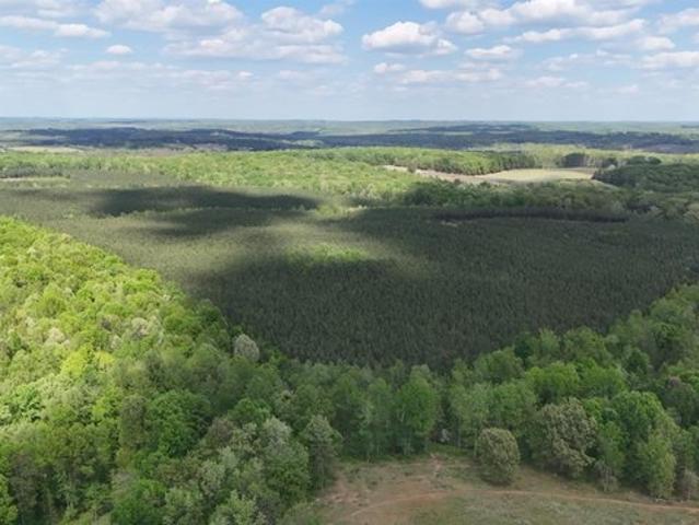 Land for sale in Virginia