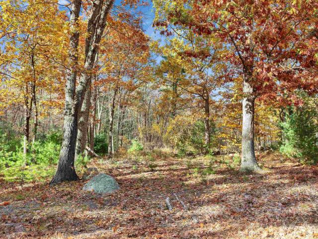Land for sale in New Hampshire