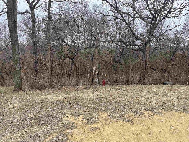 Land for sale in Apple River, Illinois