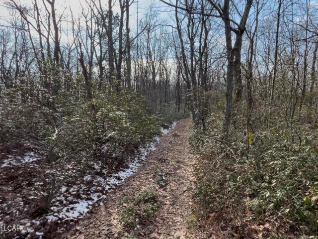 House for sale in Drums, Pennsylvania