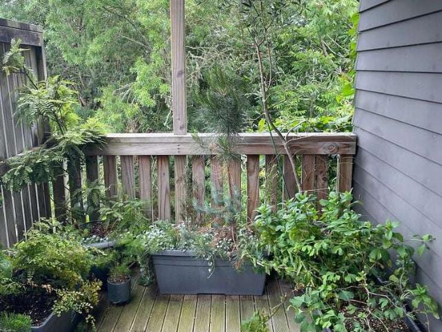 House for rent in Hamilton, Waikato