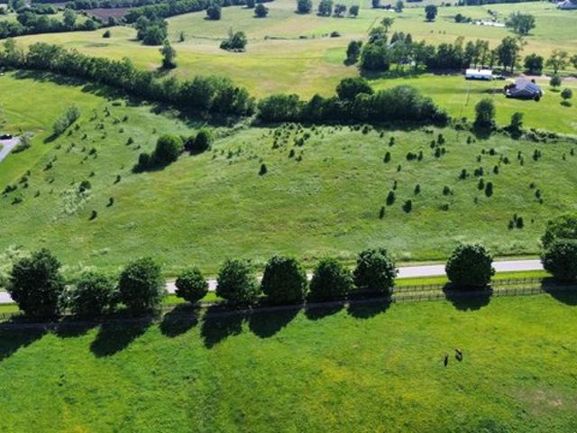 Land for sale in Carlisle, Kentucky