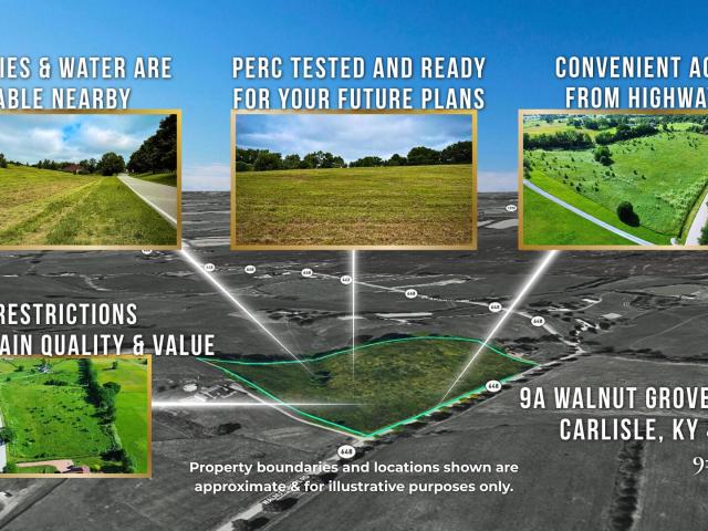 Land for sale in Carlisle, Kentucky