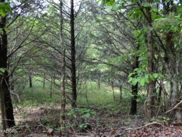 Land for sale in Burkesville, Kentucky