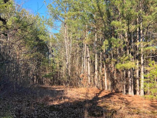 Land for sale in Langston, Alabama