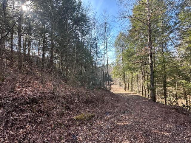 Land for sale in Peoples, Kentucky