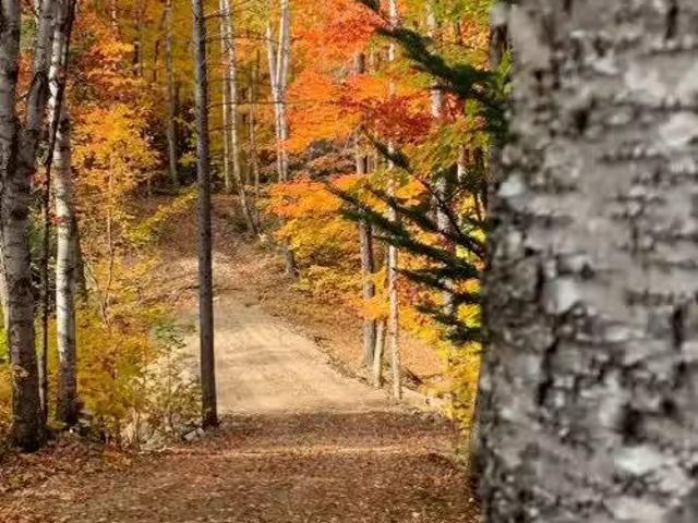House for sale in Matawinie, Quebec