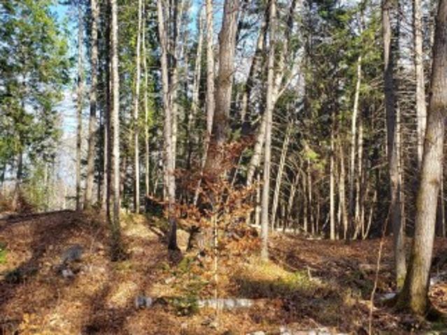 Land for sale in Matawinie, Quebec