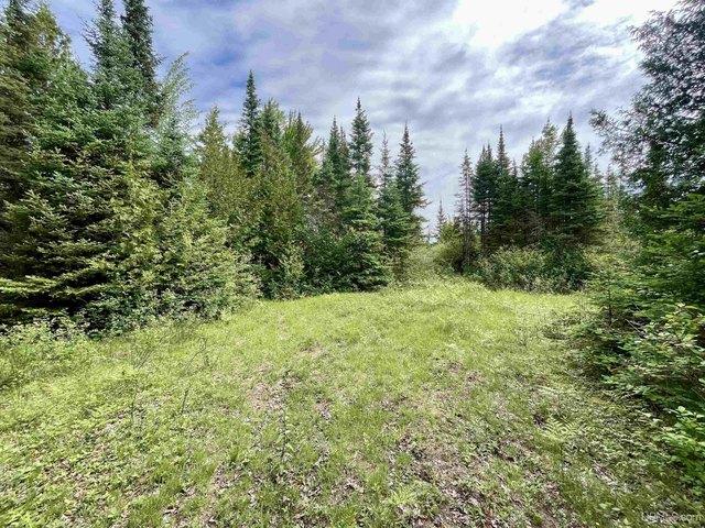 Land for sale in Bark River, Michigan