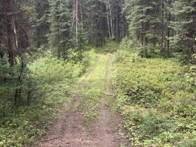 Land for sale in Wasilla