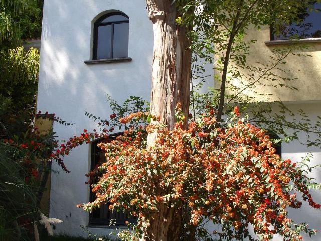 Casa en renta en Cañada Morelos, Puebla