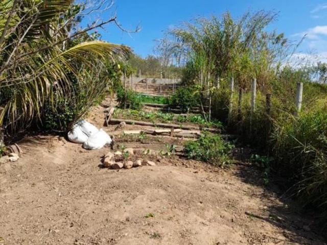 Sítio e chácara venda em Região Imediata de São José dos Campos, Região Metropolitana do Vale do Paraíba e Litoral Norte
