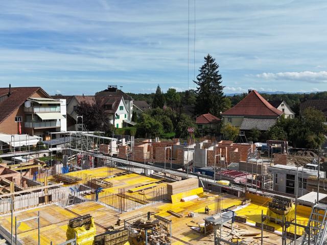 Apartment mieten in Birkenhof, Dozwil