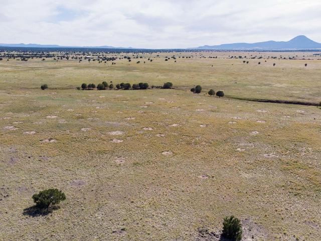 Land for sale in Ash Fork, Arizona