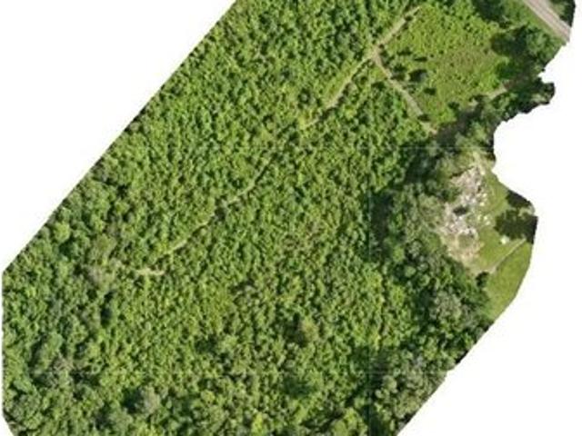 Land for sale in Newton, Texas