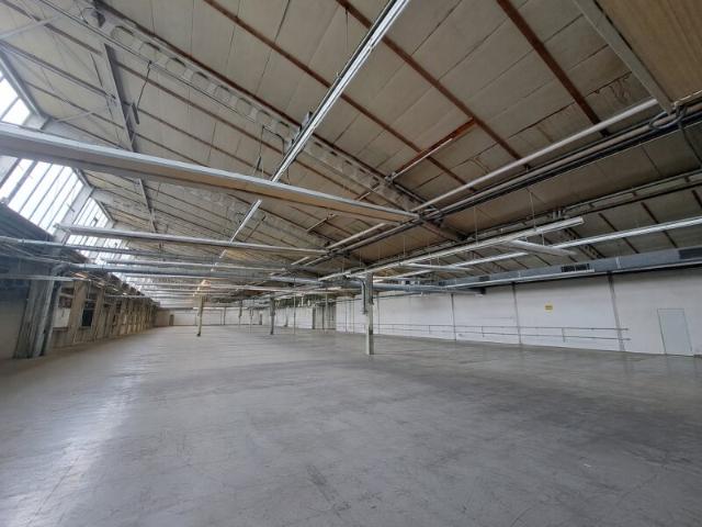 Gewerbe mieten in Traiskirchen, Niederösterreich