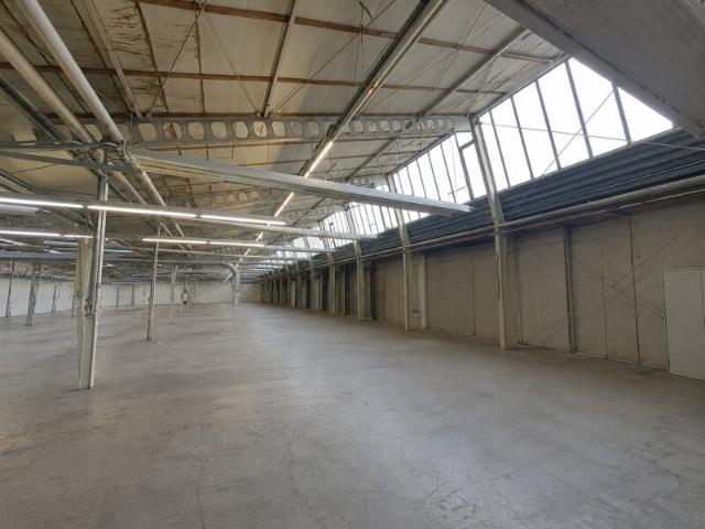 Gewerbe mieten in Traiskirchen, Niederösterreich