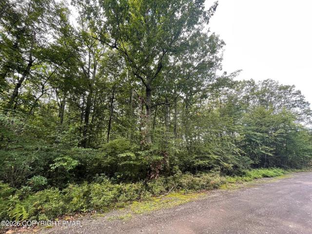 Land for sale in Carbon, Pennsylvania