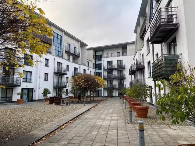 Apartment to rent