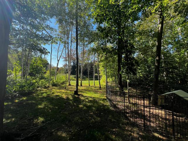 Land for sale in Minnesota