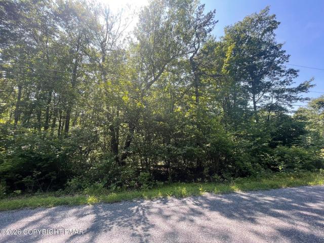 Land for sale in Carbon, Pennsylvania