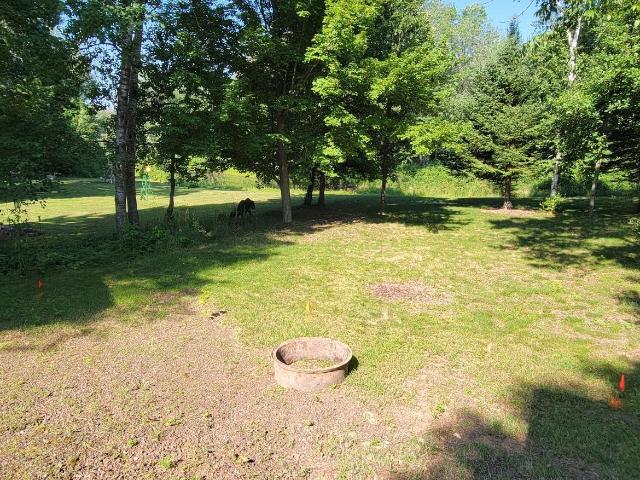 Land for sale in Minnesota