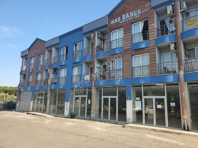 Aydın Merkez, Aydin içerisinde kiralık mülk