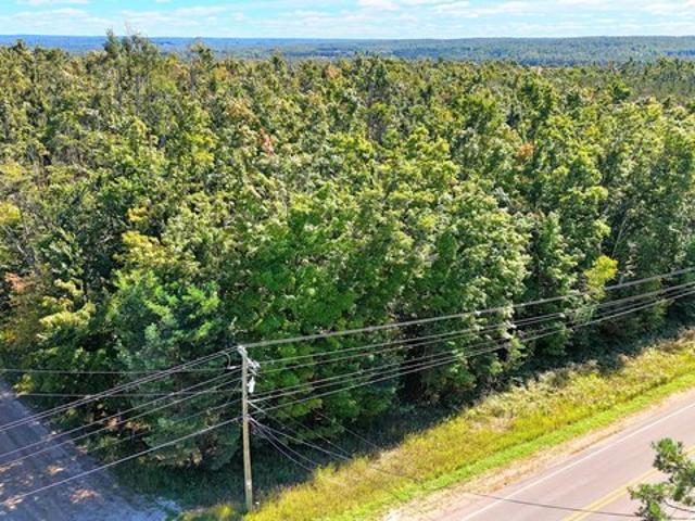Land for sale in Gaylord, Otsego County