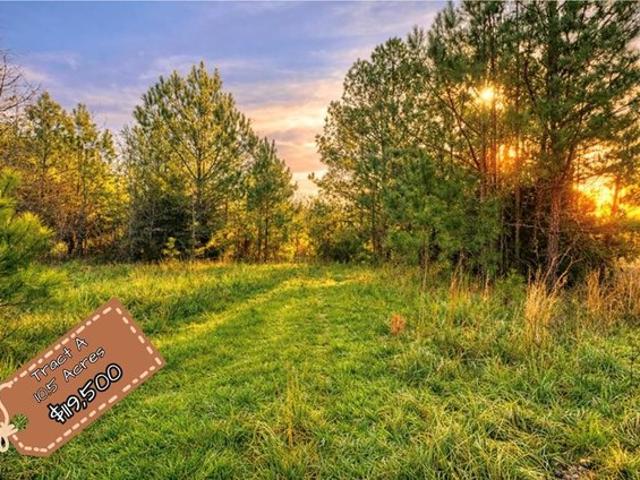 Land for sale in Abbeville, South Carolina