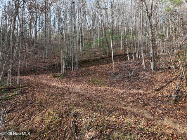 Land for sale in Blairsville, Union County