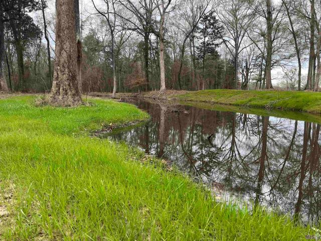 Land for sale in Ethel, Louisiana