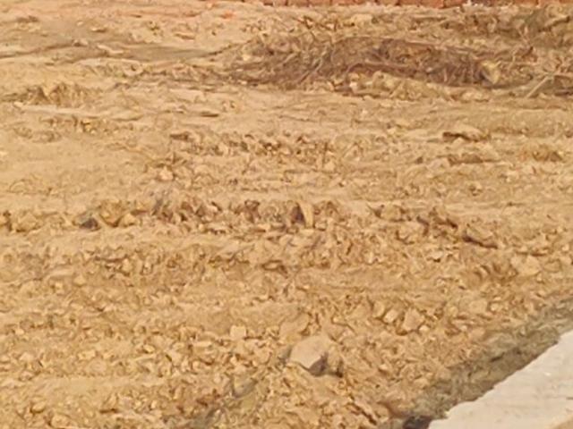 Land for sale in Varanasi, Arunachal Pradesh