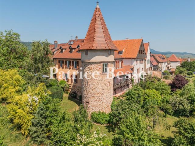 Maison vente à Colmar-Ribeauvillé, Ribeauville