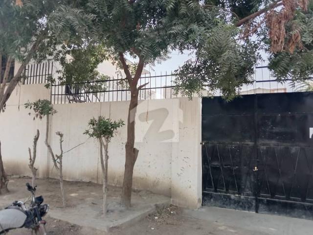 Warehouse for rent in North Waziristan, Federally Administered Tribal Areas fata
