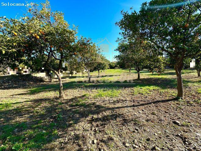 Local Comercial en venta en La Gorgoja, Córdoba