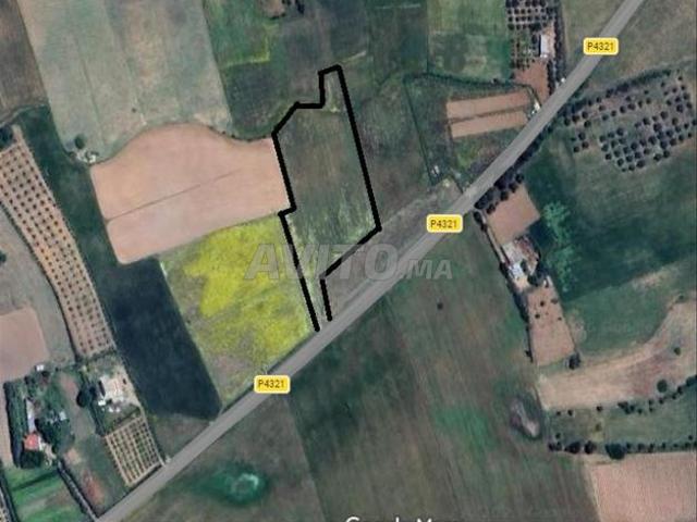 Propriété vente à Khémisset